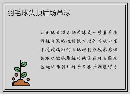 羽毛球头顶后场吊球